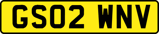 GS02WNV
