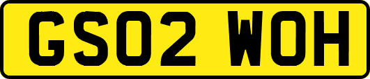GS02WOH