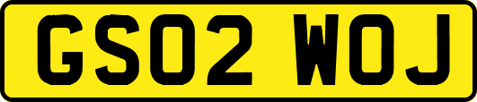 GS02WOJ