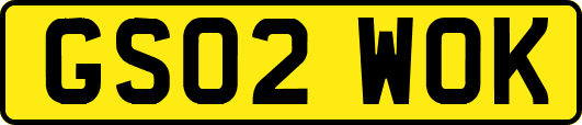 GS02WOK