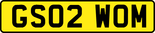 GS02WOM
