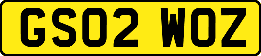 GS02WOZ