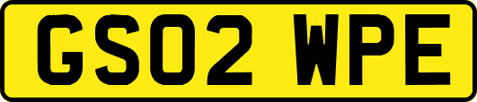 GS02WPE