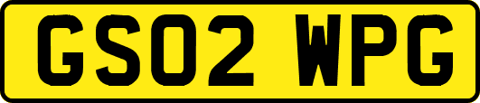 GS02WPG
