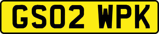 GS02WPK