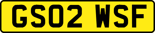 GS02WSF