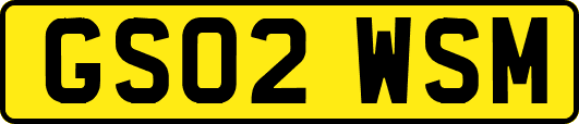 GS02WSM