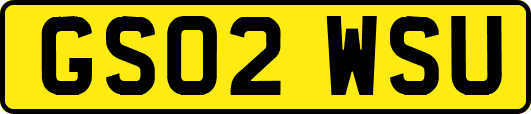 GS02WSU