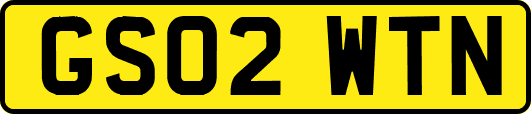 GS02WTN