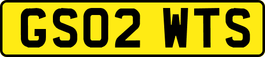 GS02WTS