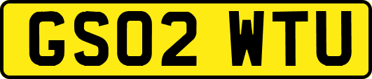 GS02WTU