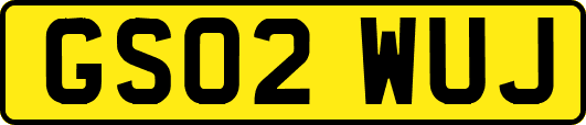 GS02WUJ