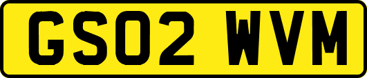 GS02WVM