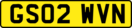 GS02WVN