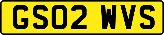GS02WVS