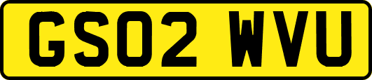 GS02WVU