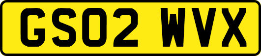 GS02WVX