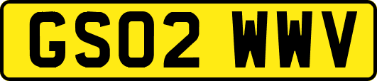 GS02WWV