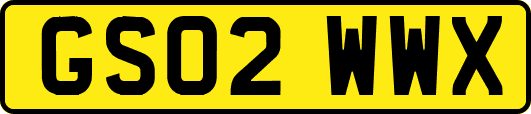 GS02WWX