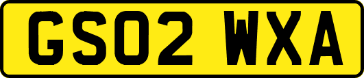 GS02WXA