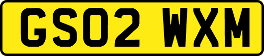 GS02WXM