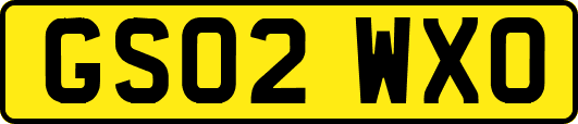GS02WXO