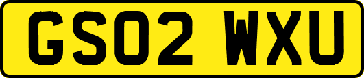 GS02WXU