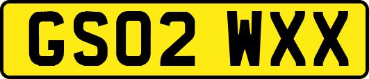GS02WXX