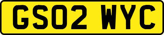 GS02WYC