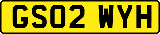 GS02WYH