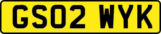 GS02WYK