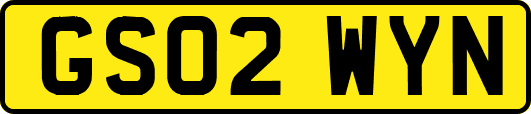 GS02WYN
