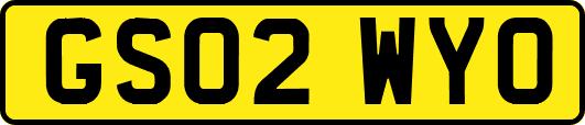 GS02WYO