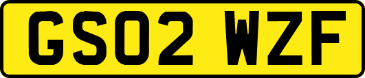 GS02WZF