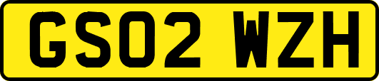 GS02WZH