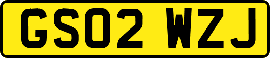 GS02WZJ