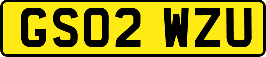 GS02WZU