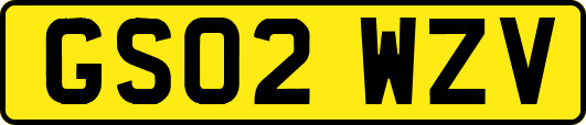 GS02WZV