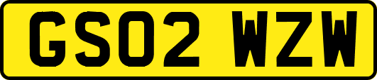 GS02WZW