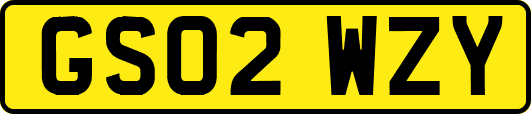 GS02WZY
