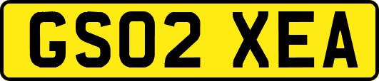 GS02XEA