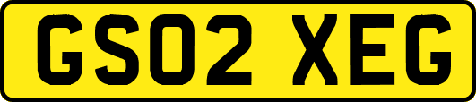 GS02XEG