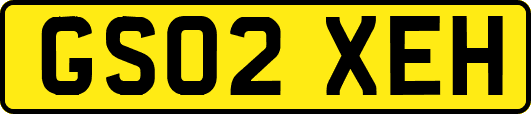 GS02XEH