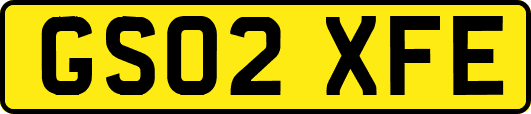GS02XFE