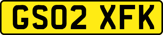 GS02XFK