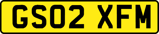 GS02XFM