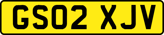 GS02XJV