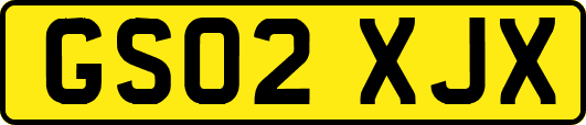 GS02XJX
