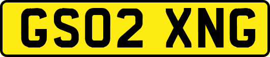 GS02XNG