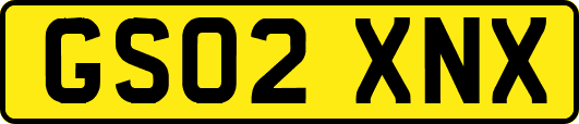 GS02XNX